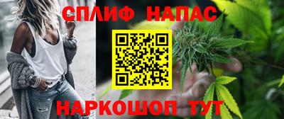 крисы Краснознаменск
