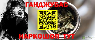 крисы Краснознаменск