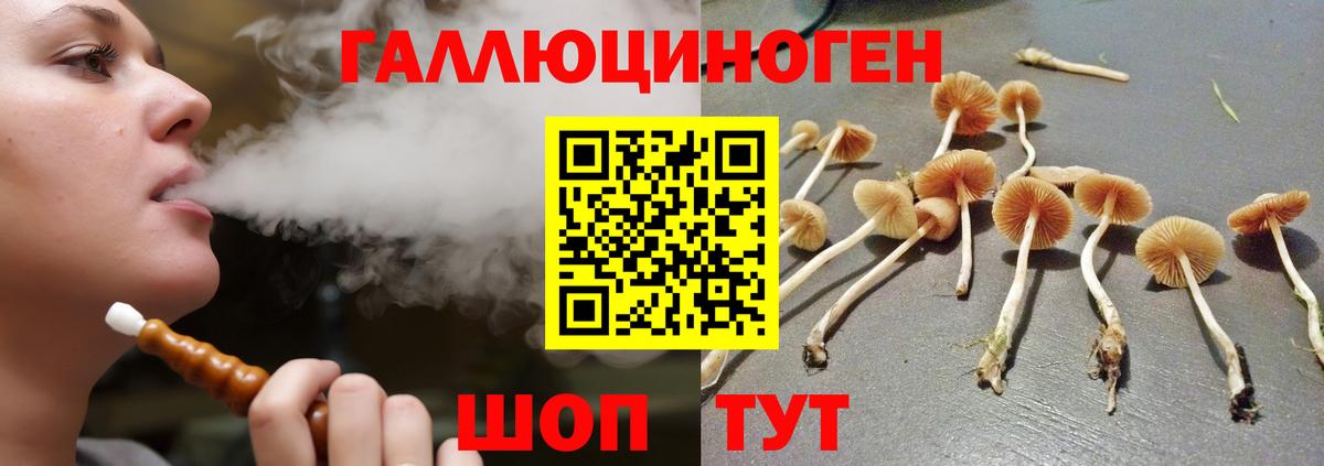 Галлюциногенные грибы Cubensis  закладки  Камышлов  Вход с VPN 